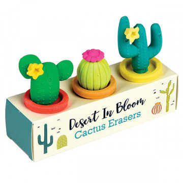 Gommes Cactus